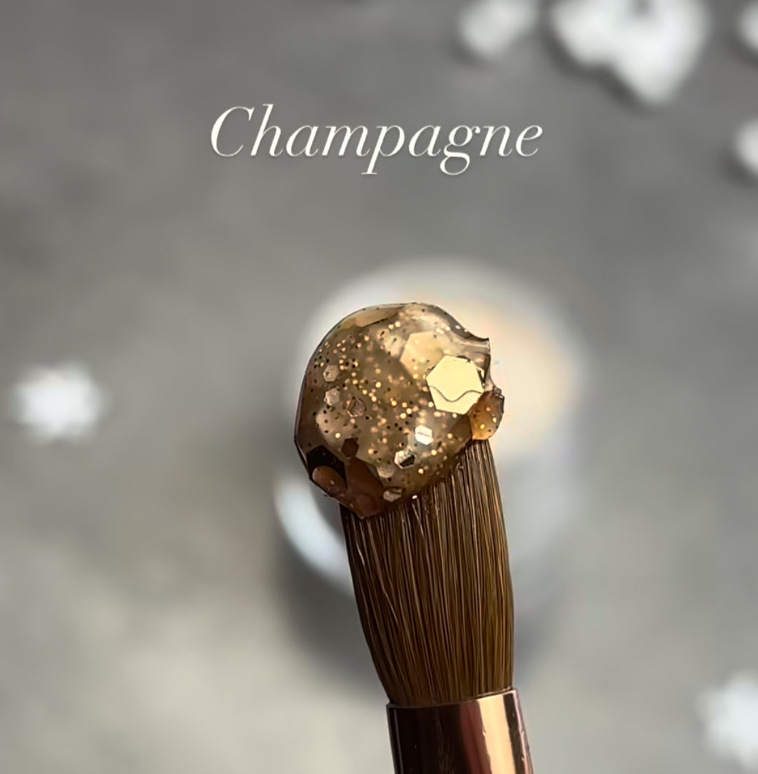 NEW Acrílico Champagne ❄️20g