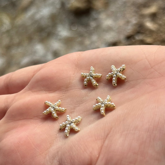 Joyita estrella de mar PACK 2